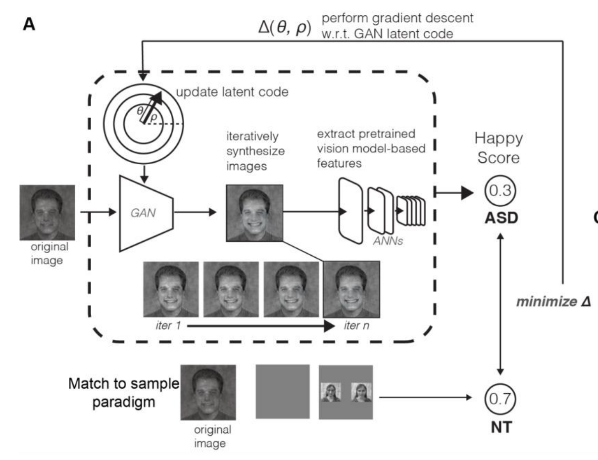 AI-guided stimuli discovery and generation to optimize facial emotion perception studies in autism